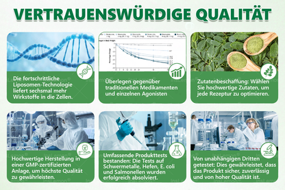 🎁 Nur noch 5 Boxen verfügbar! Wir bieten Ihnen zusätzlich 50 % Rabatt! Bringen Sie sich in Form und unterstützen Sie Ihre Gesundheit. Wenn Sie diese Gelegenheit jetzt verpassen, haben Sie erst nächstes Jahr wieder die Chance.